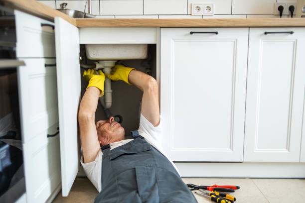 Best Septic Systems  in Southeast Arcadia, FL